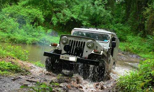 Munnar Jeep Safari