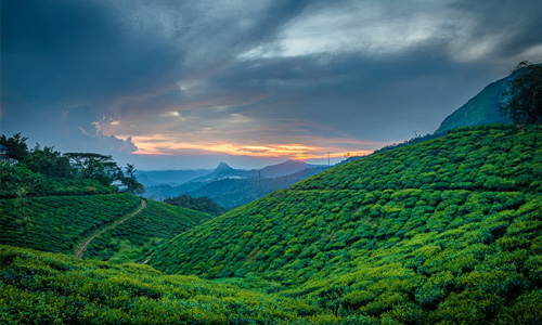 COCHIN-ALLEPPEY-COCHIN